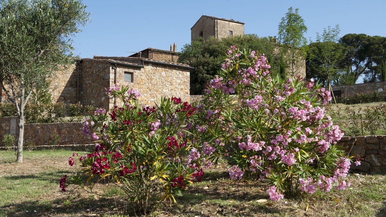 Photo of Others in Campiglia Marittima