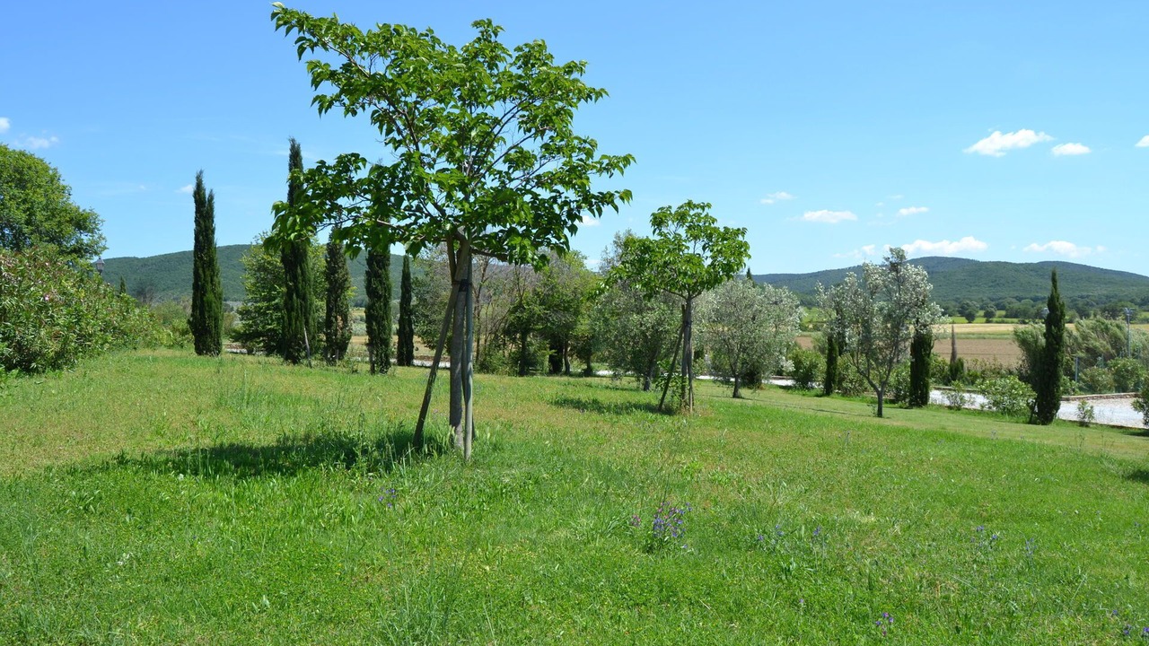 Photo of Others in Campiglia Marittima