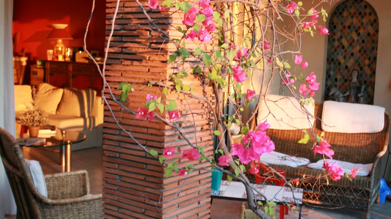 Photo of Patio Balcony in Pointe Croisette