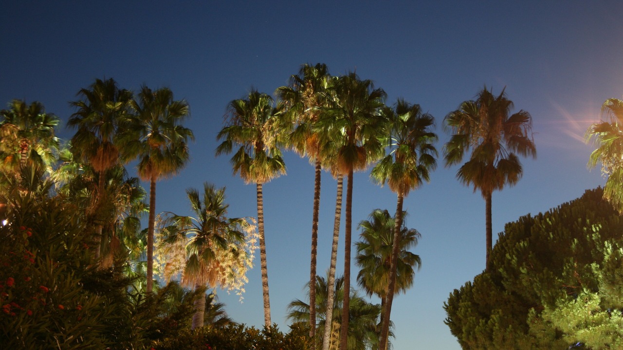 Photo of Outdoor in Pointe Croisette
