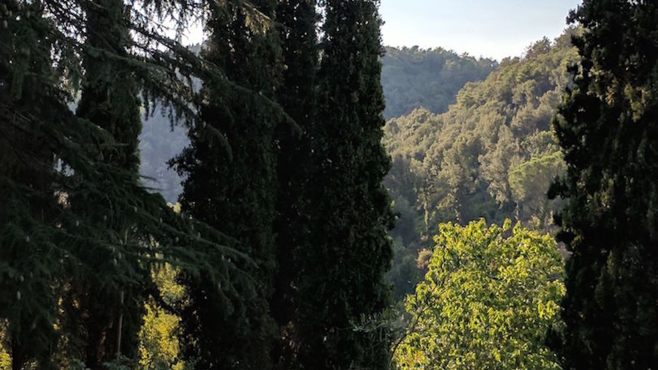 Photo of Outdoor in San Giuliano Terme