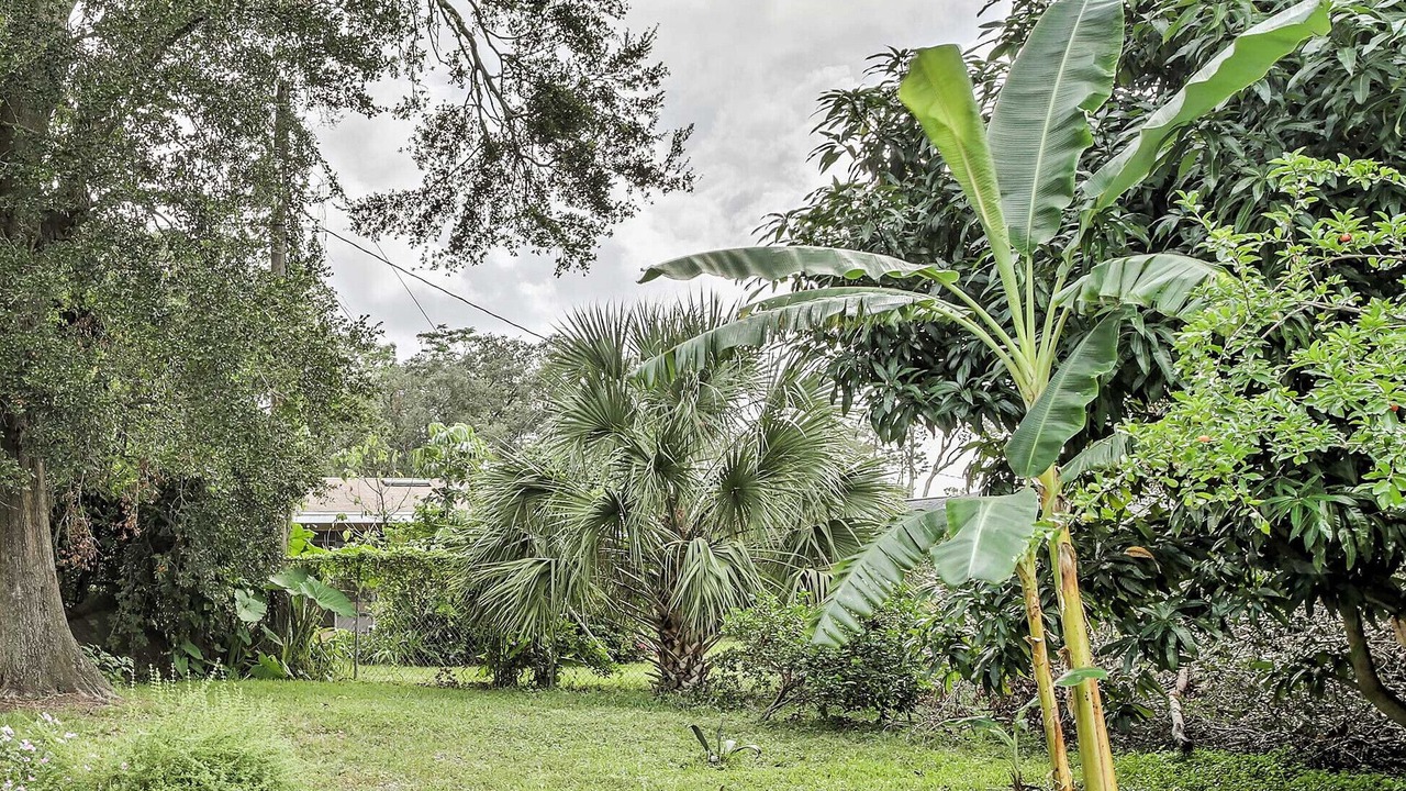 Photo of Others in Wekiva Springs