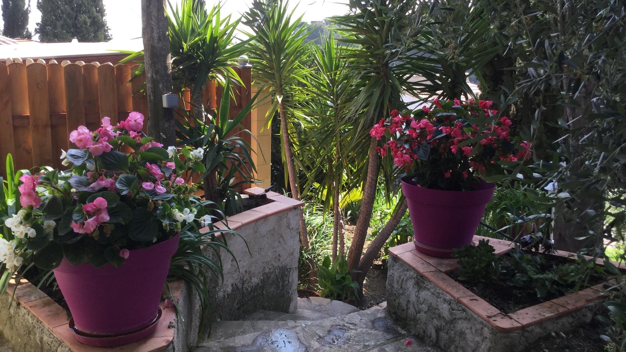 Photo of Outdoor in Nice