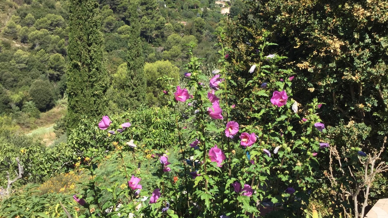 Photo of Outdoor in Nice
