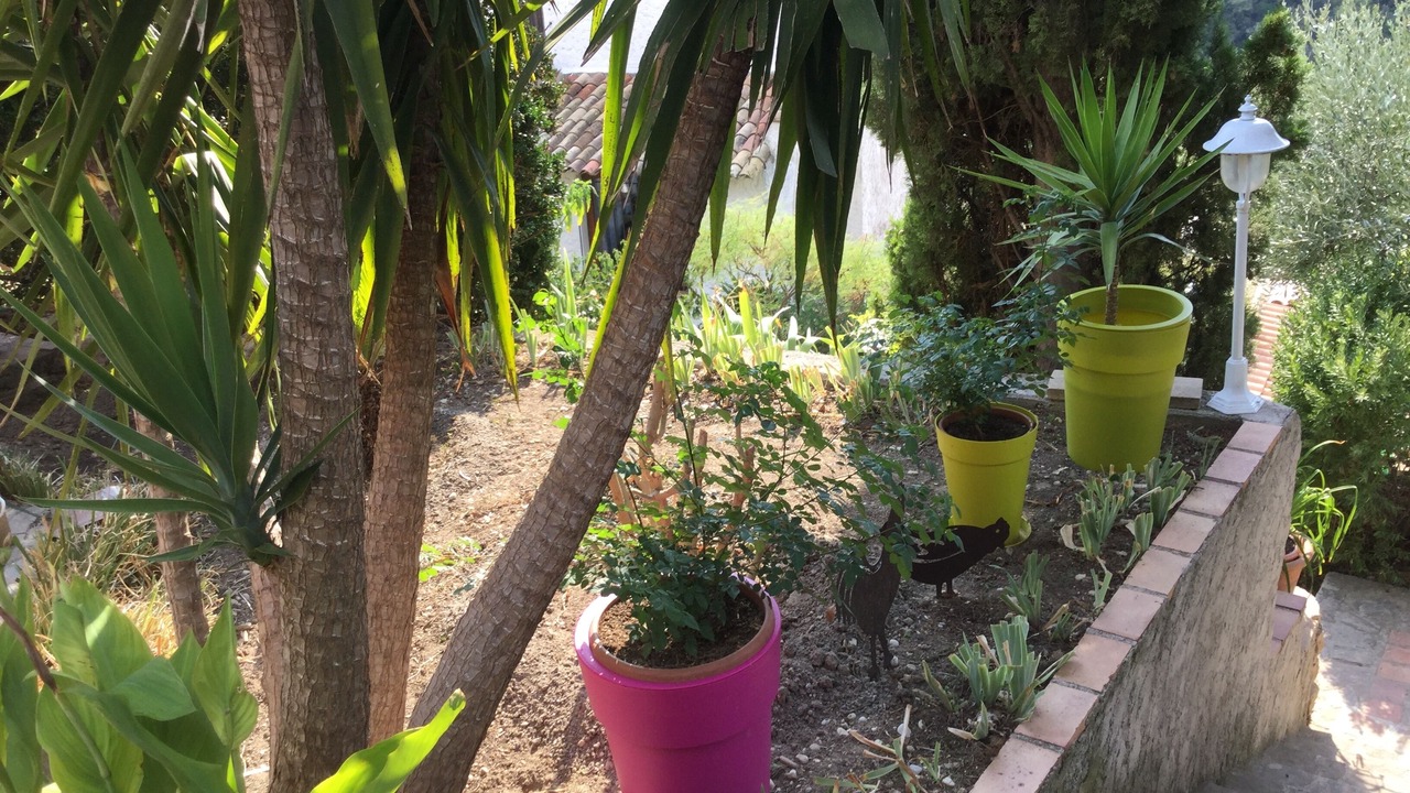 Photo of Outdoor in Nice