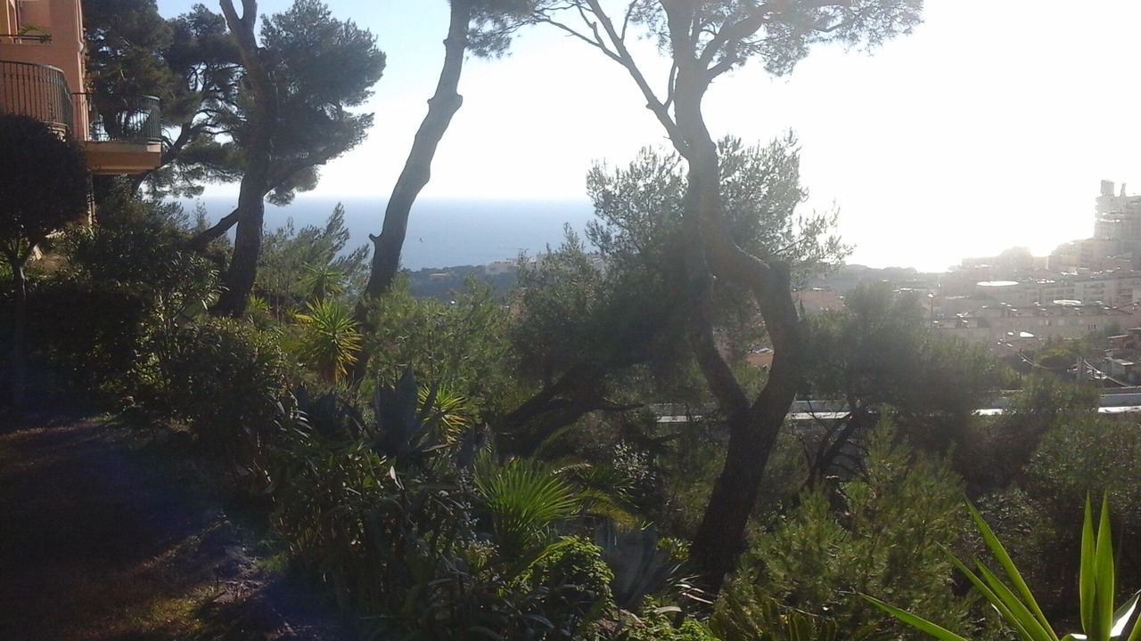 Photo of Outdoor in Beausoleil