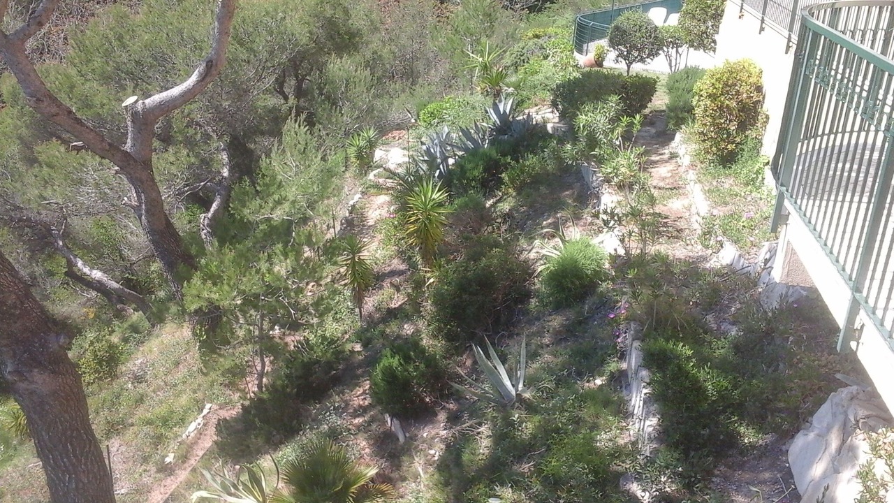 Photo of Outdoor in Beausoleil