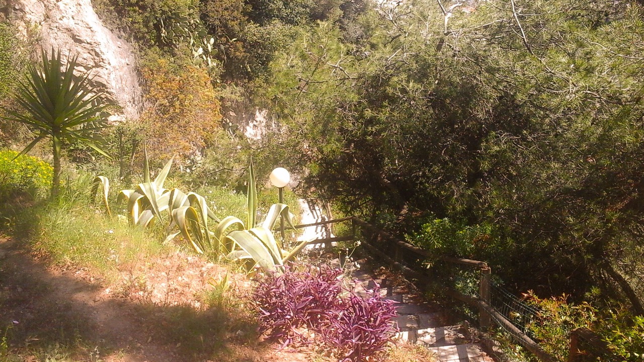 Photo of Outdoor in Beausoleil
