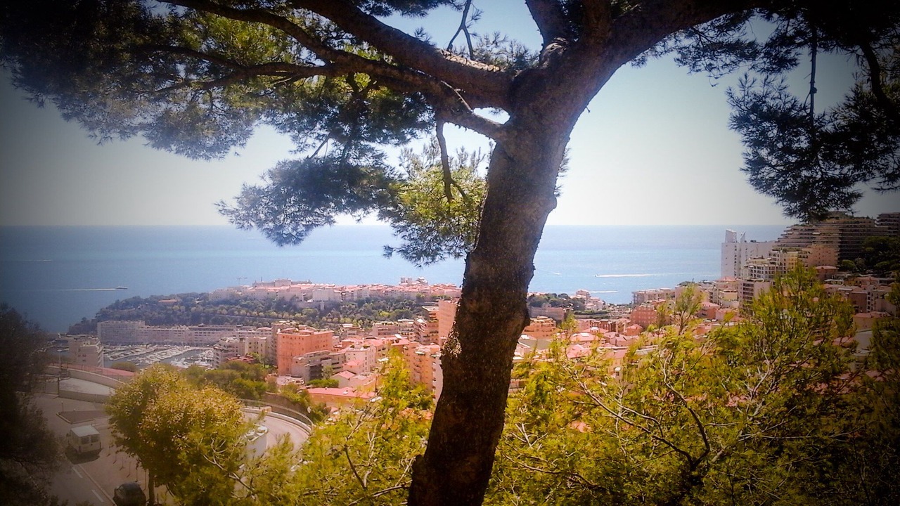 Photo of Others in Beausoleil