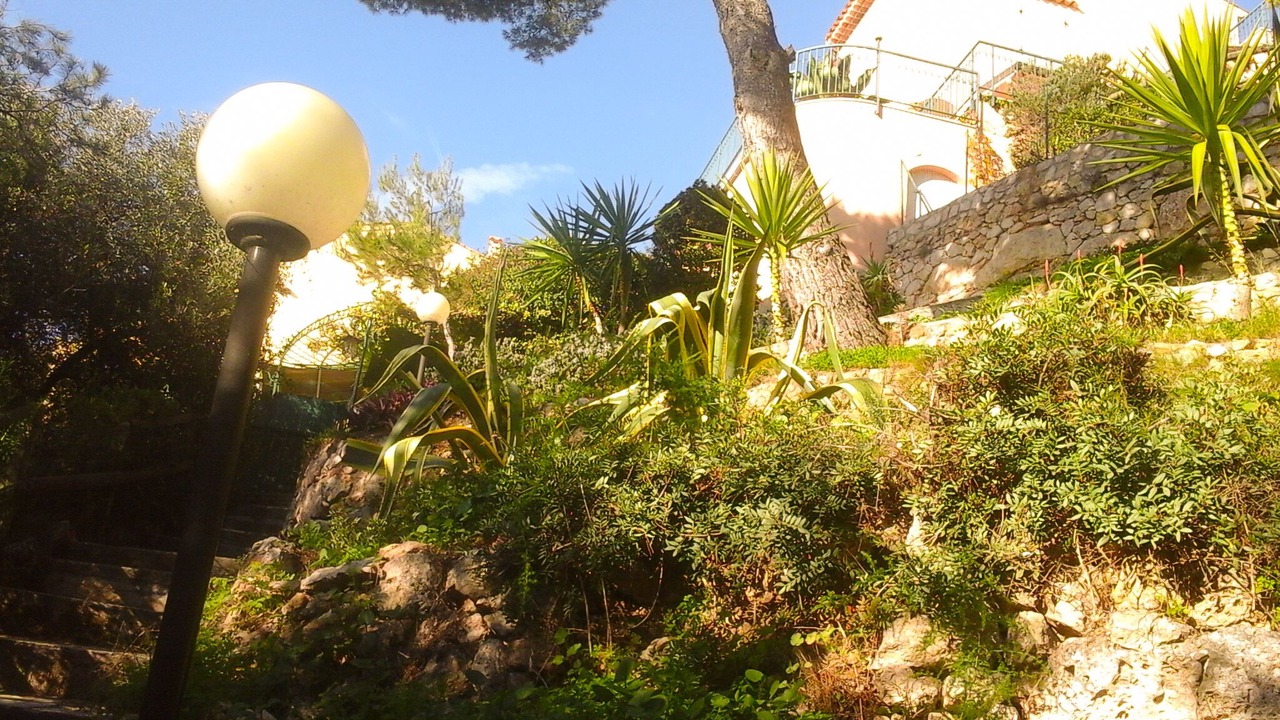 Photo of Outdoor in Beausoleil