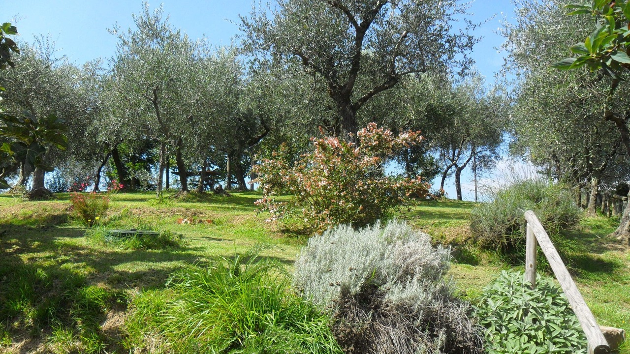 Photo of Outdoor in Pedona