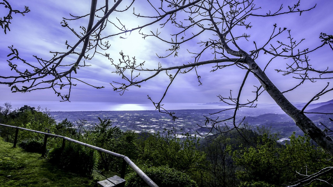 Photo of Outdoor in Pedona