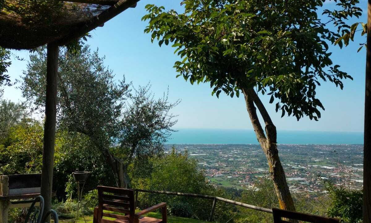 Photo of Outdoor in Pedona