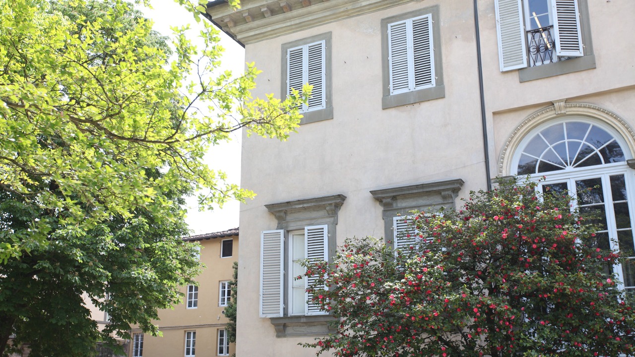 Photo of Outdoor in Lucca Historical Center