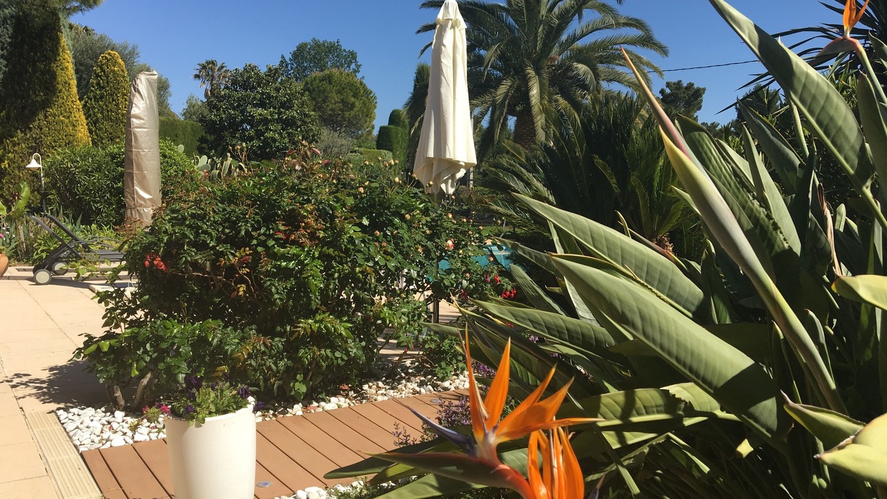Photo of Outdoor in Le Plan-de-Grasse