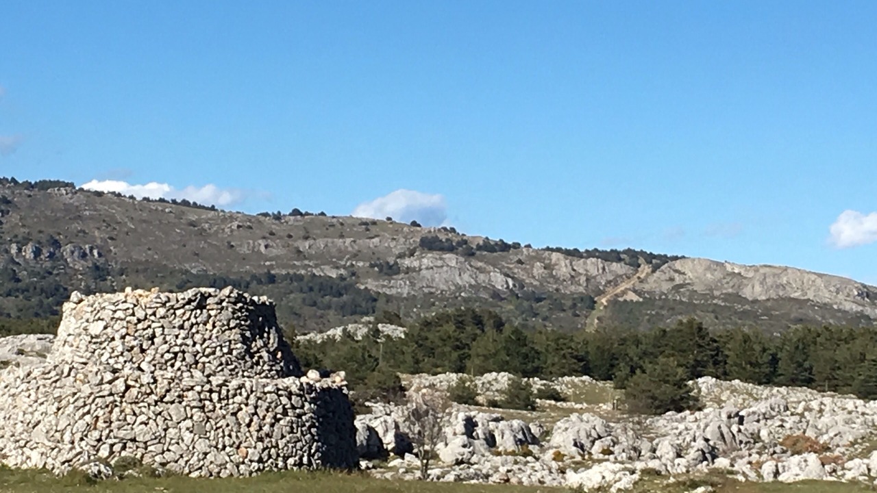Photo of Others in Le Plan-de-Grasse