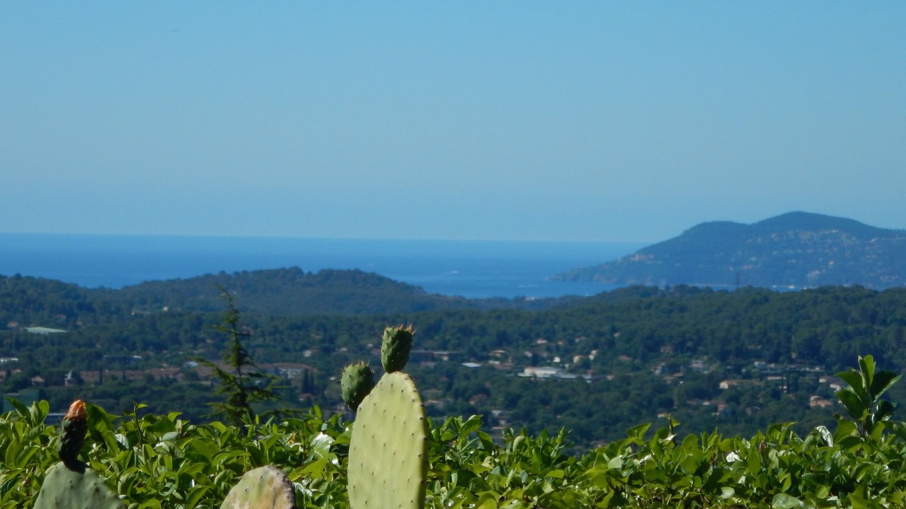 Photo of Others in Le Plan-de-Grasse