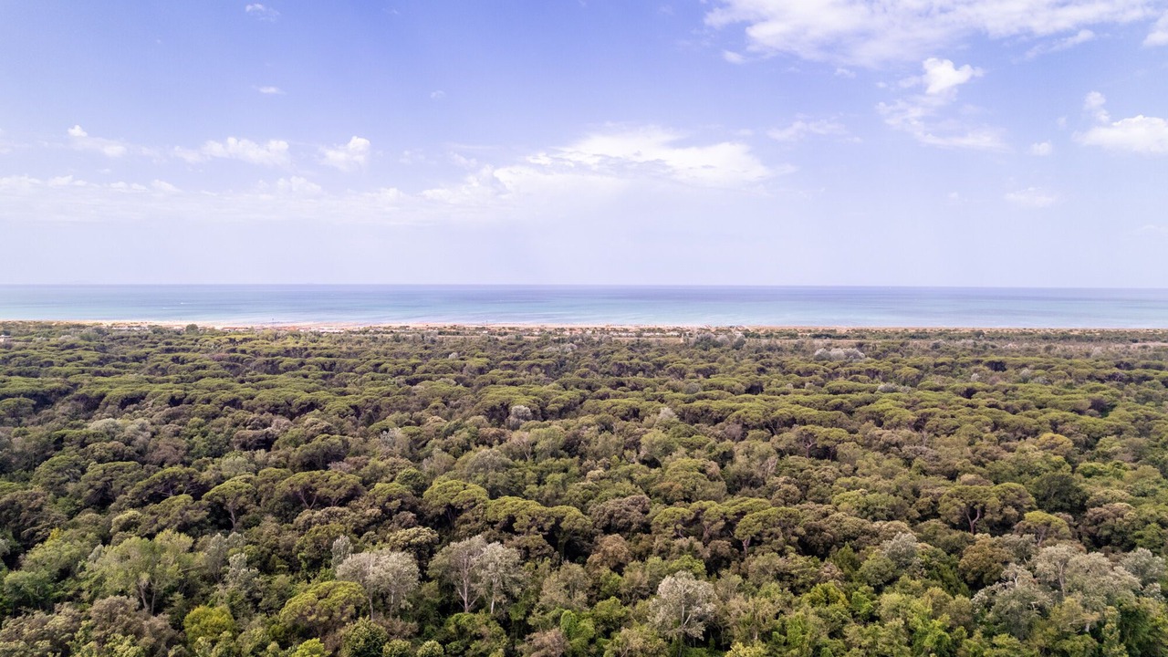 Photo of Outdoor in Torre del Lago Puccini