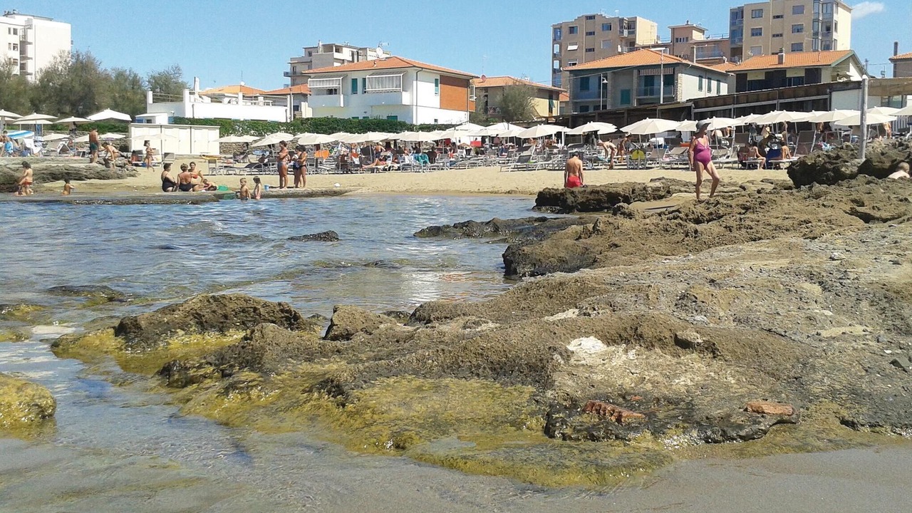 Photo of Others in Rosignano Marittimo