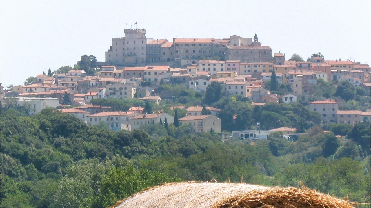Photo of Others in Rosignano Marittimo