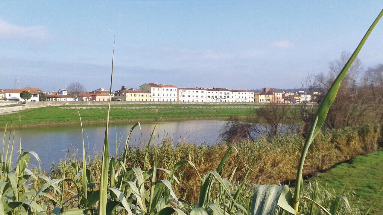 Photo of Others in Calcinaia