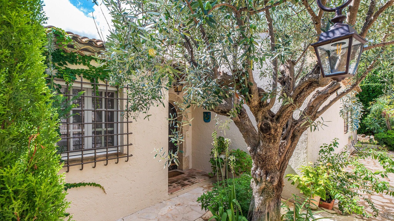 Photo of Others in Saint-Paul-de-Vence