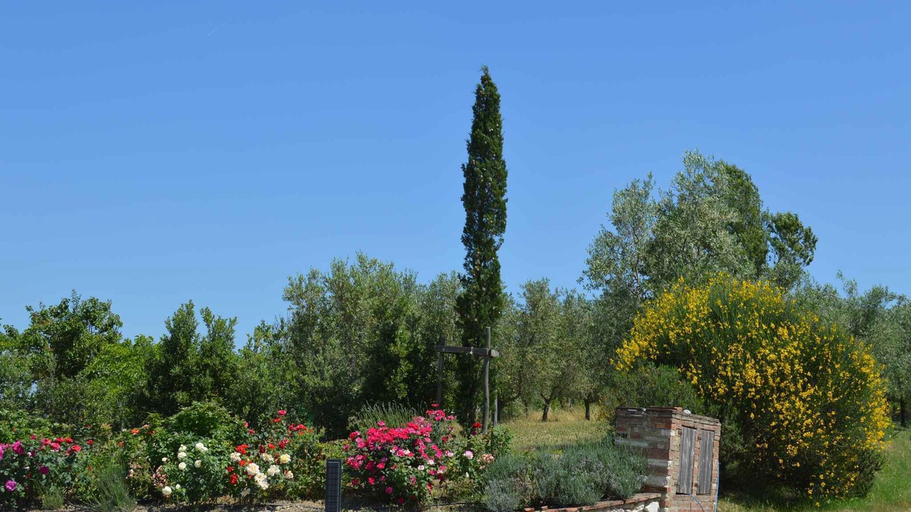 Photo of Outdoor in Bollano