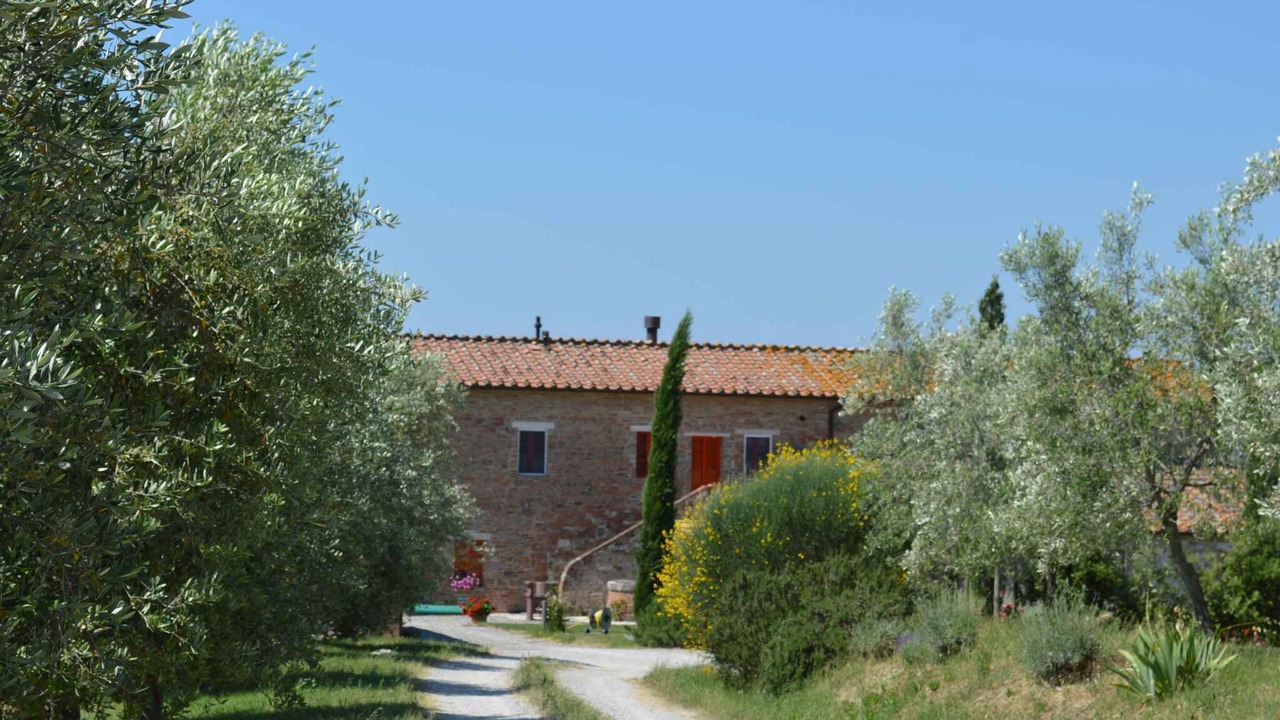Photo of Outdoor in Bollano