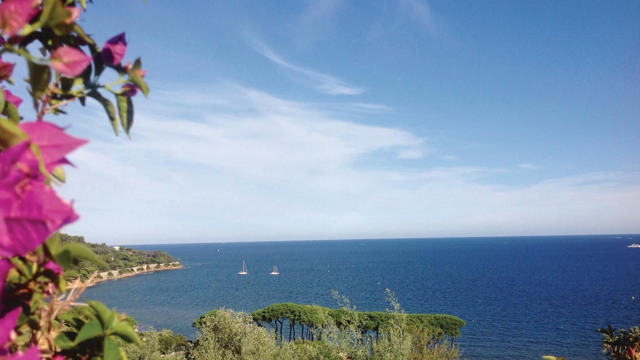 Photo of Others in Sainte-Maxime