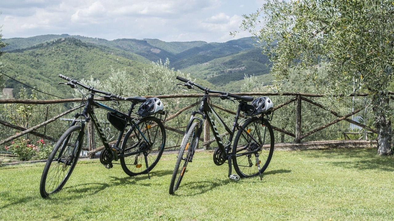 Photo of Others in Monte Benichi