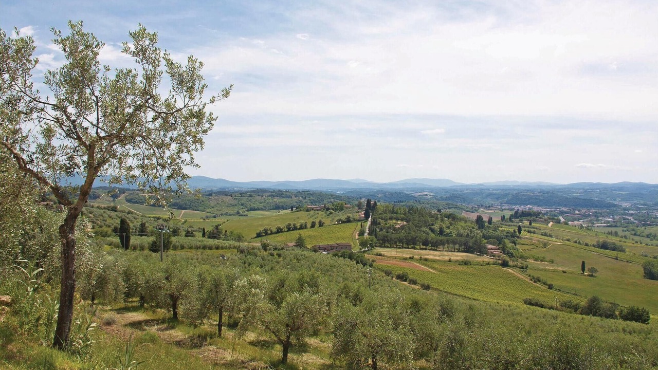 Photo of Others in Volterra