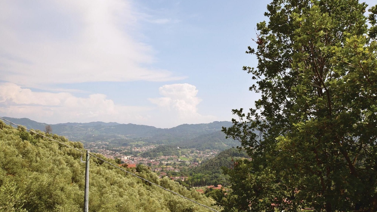 Photo of Others in Camaiore