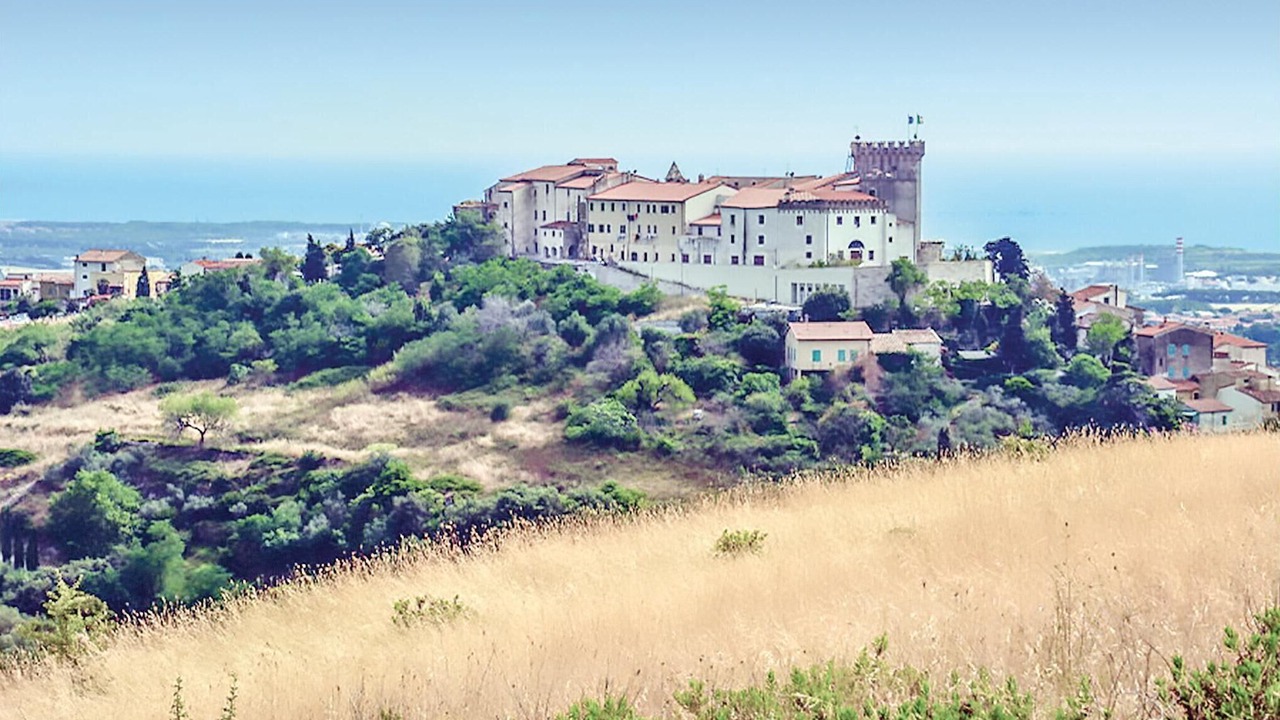 Photo of Others in Rosignano Marittimo