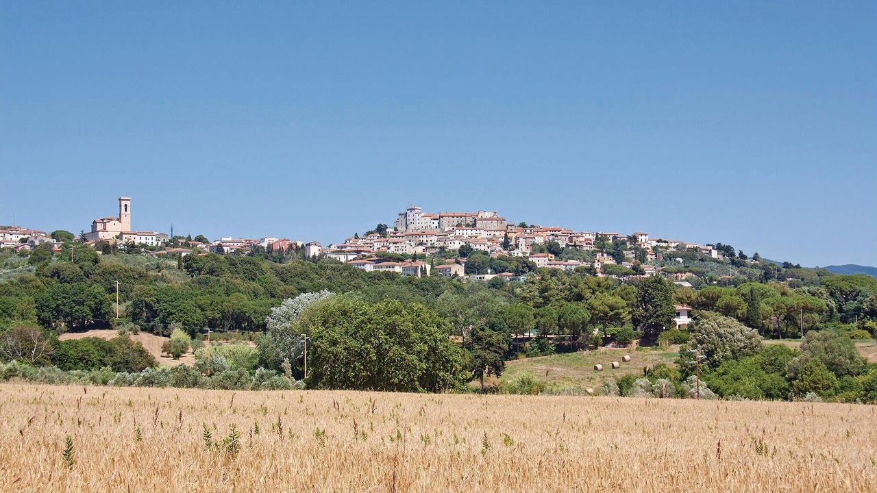 Photo of Others in Rosignano Marittimo