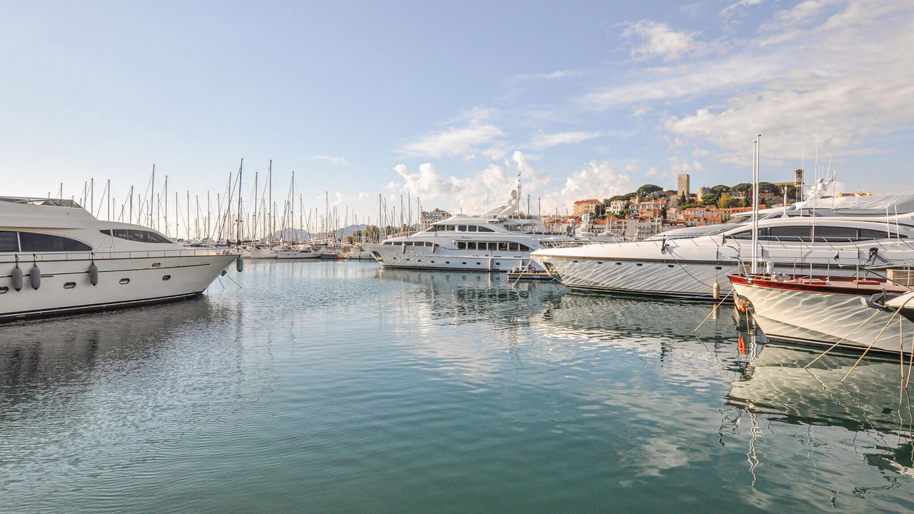 Photo of Others in Cannes