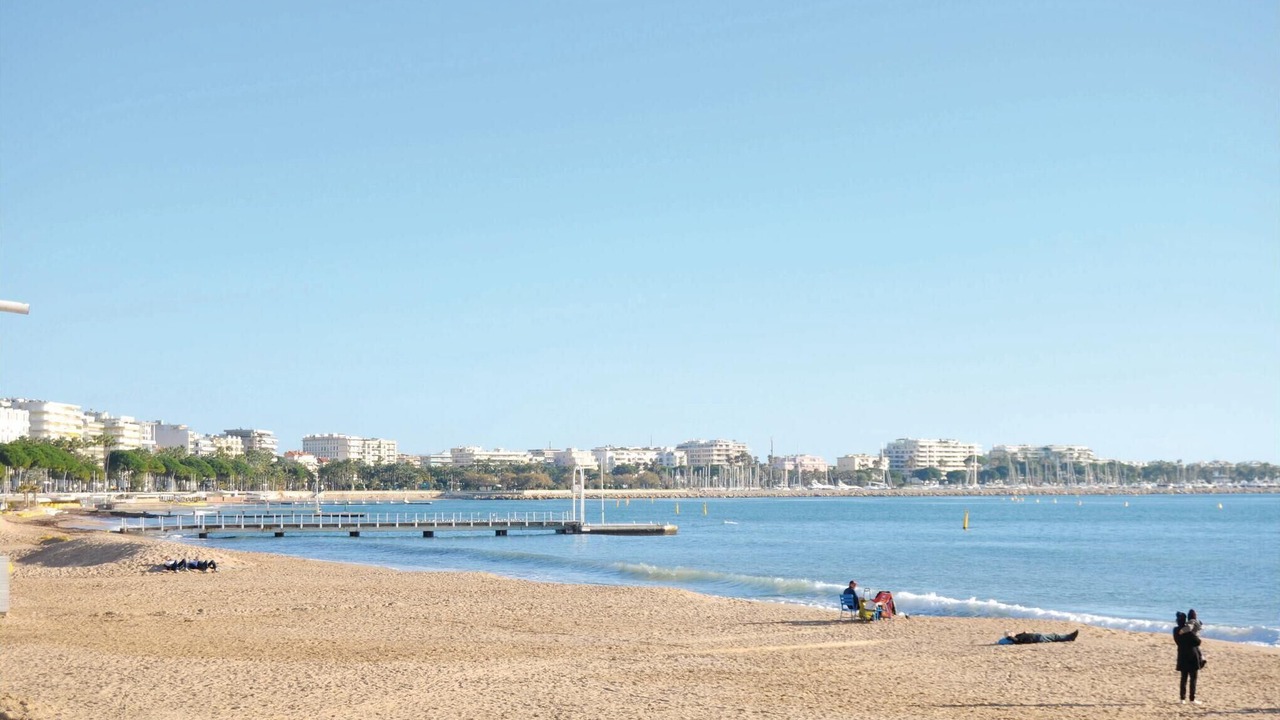 Photo of Others in Cannes