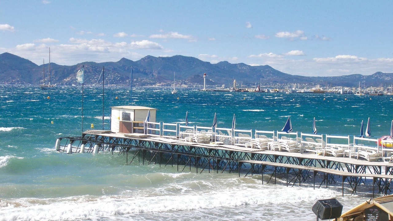 Photo of Others in Cannes