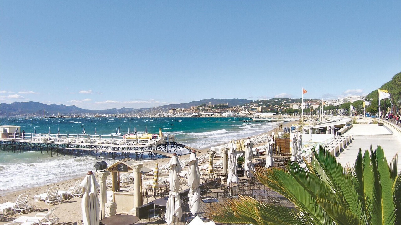 Photo of Others in Cannes