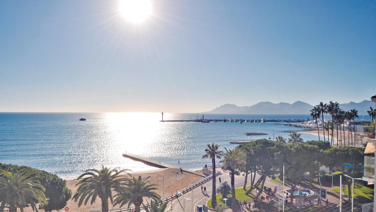 Photo of Others in Cannes