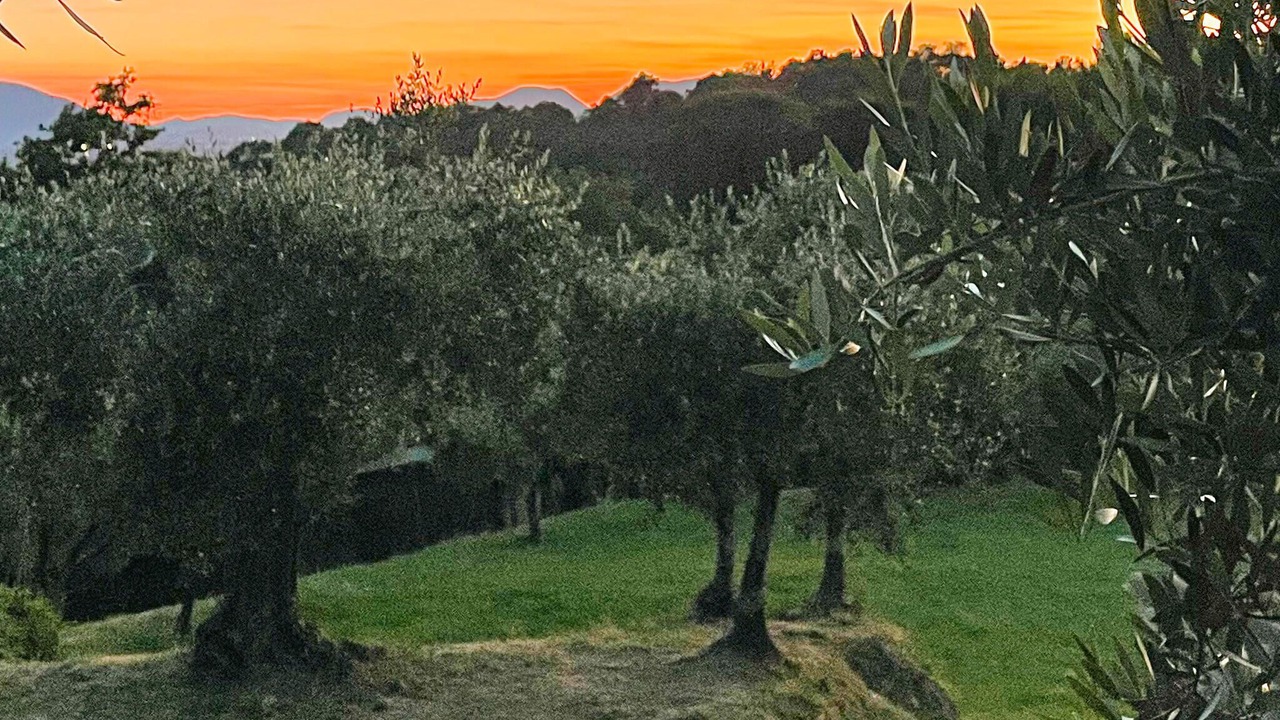 Photo of Others in Capannori
