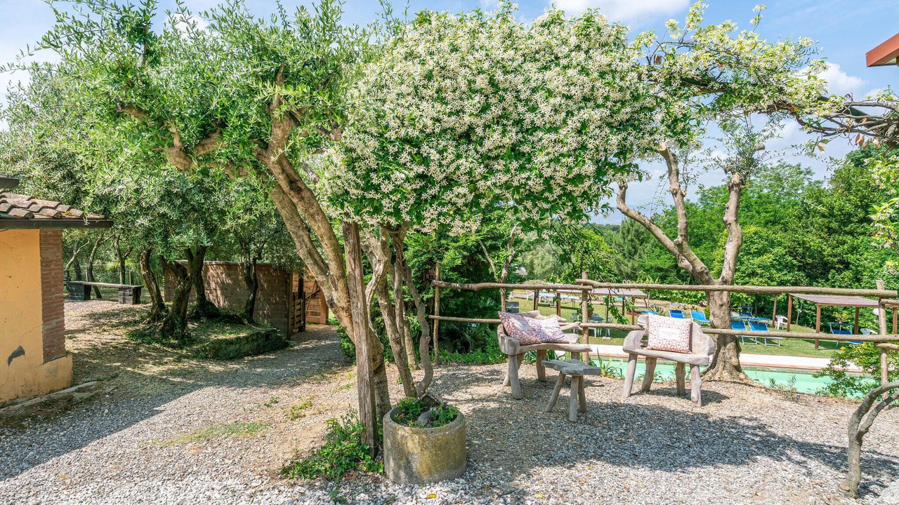 Photo of Outdoor in Capannori