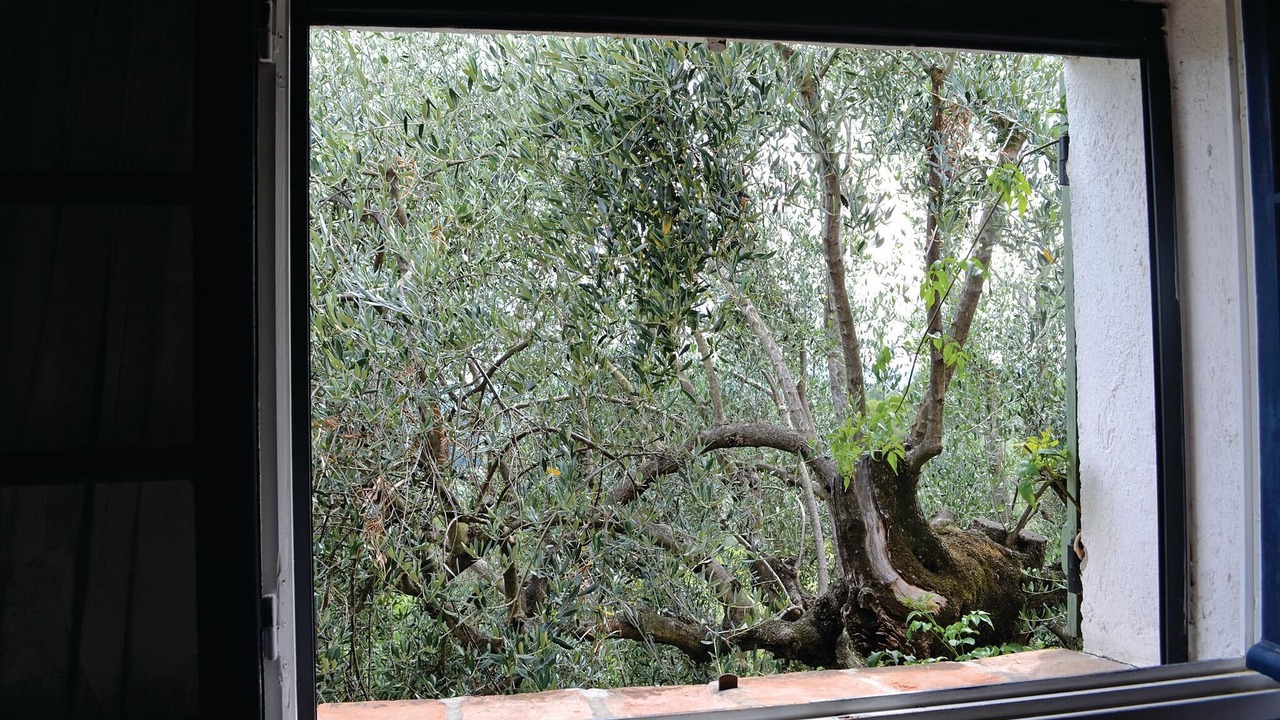 Photo of Bedroom in Chateauneuf-Grasse