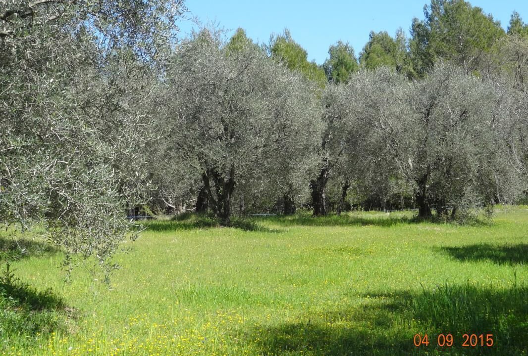 Photo of Outdoor in Tourrettes