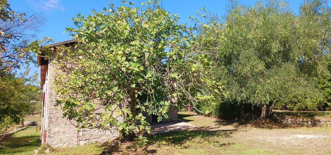 Photo of Outdoor in Tourrettes