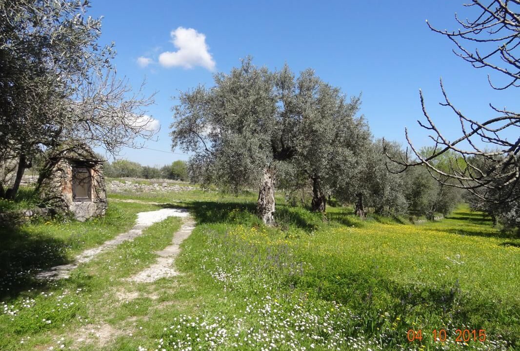 Photo of Outdoor in Tourrettes