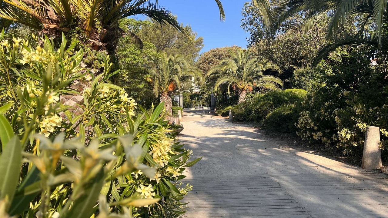 Photo of Outdoor in Saint-Aygulf