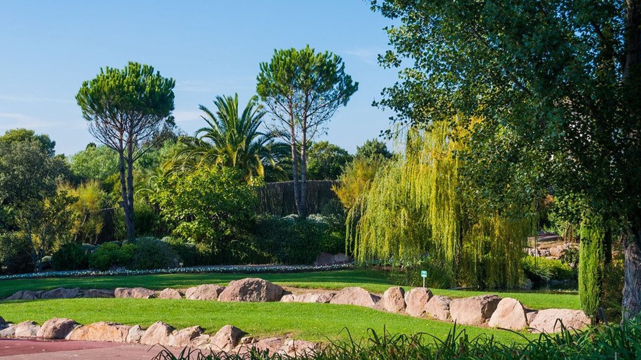 Photo of Outdoor in Saint-Aygulf