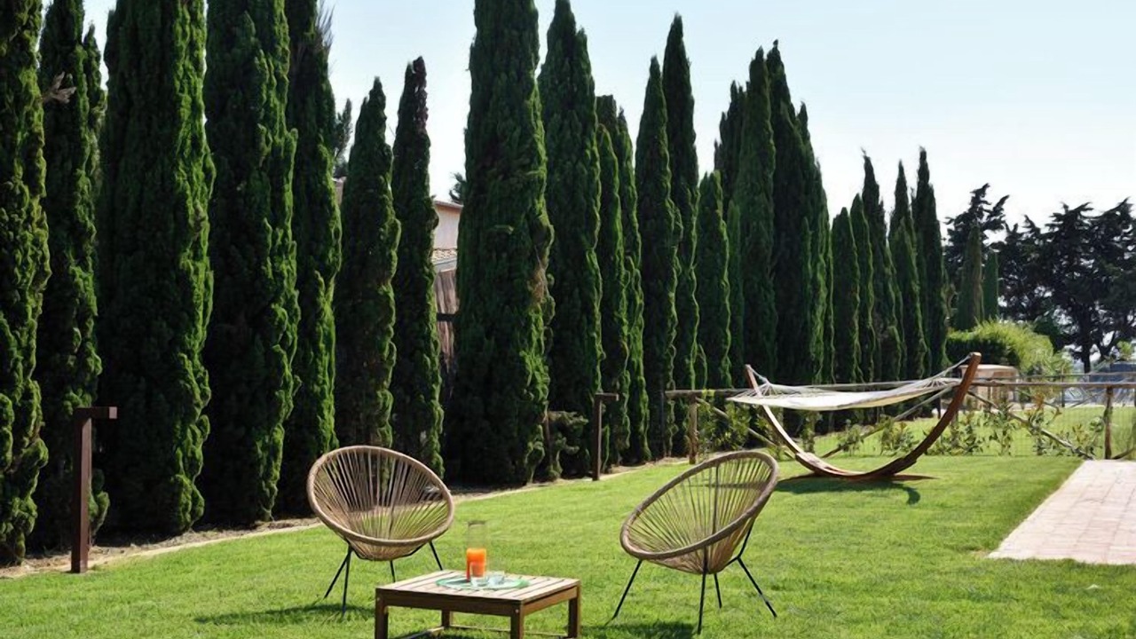 Photo of Outdoor in Rosignano Marittimo
