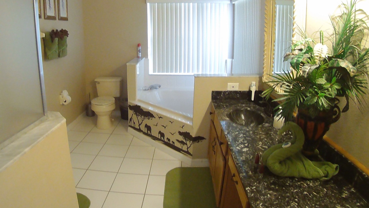 Photo of Bathroom in West Kissimmee