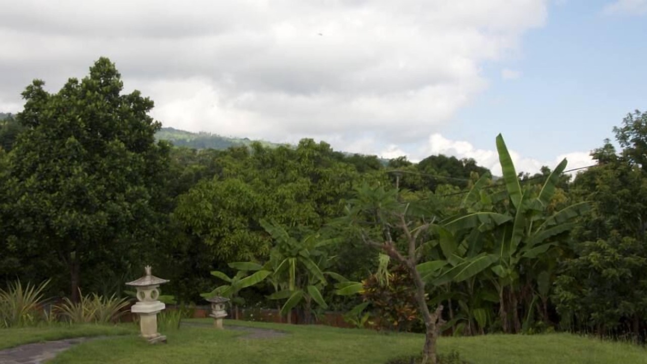 Photo of Outdoor in Lovina